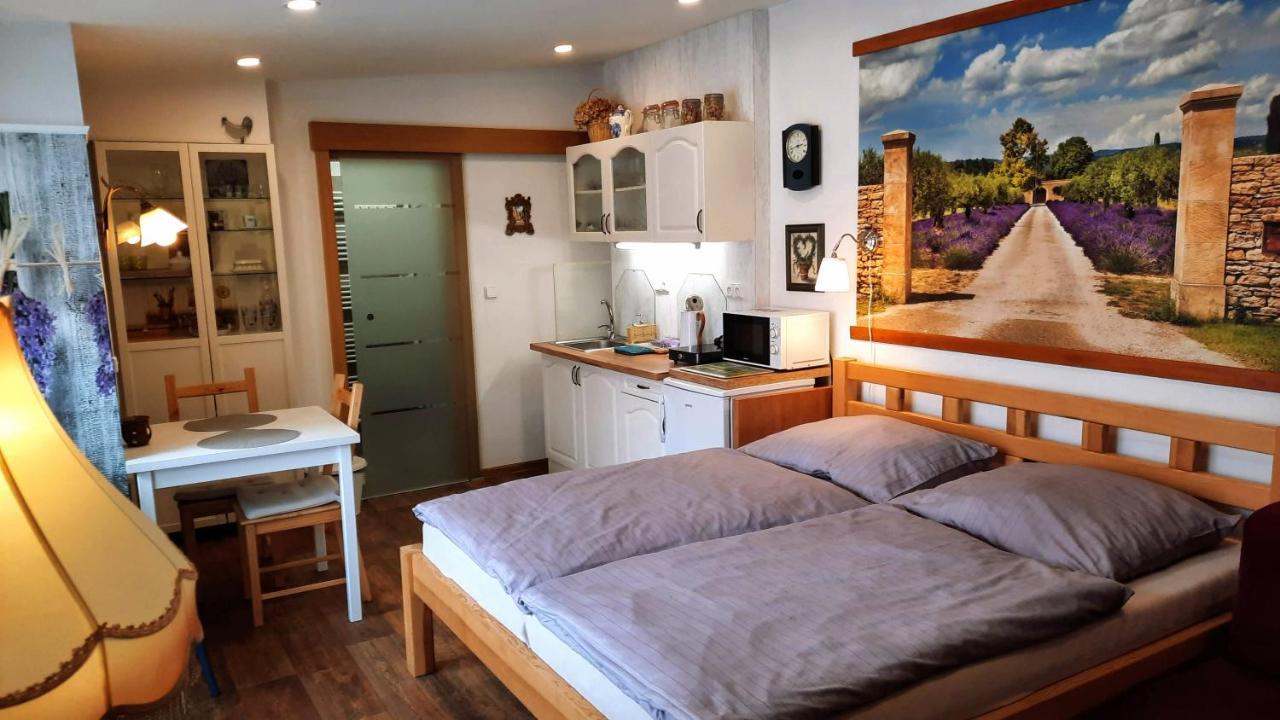 Apartman Za Kopcem Boskovice Exterior photo