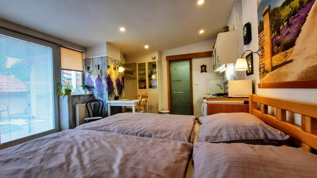 Apartman Za Kopcem Boskovice Exterior photo