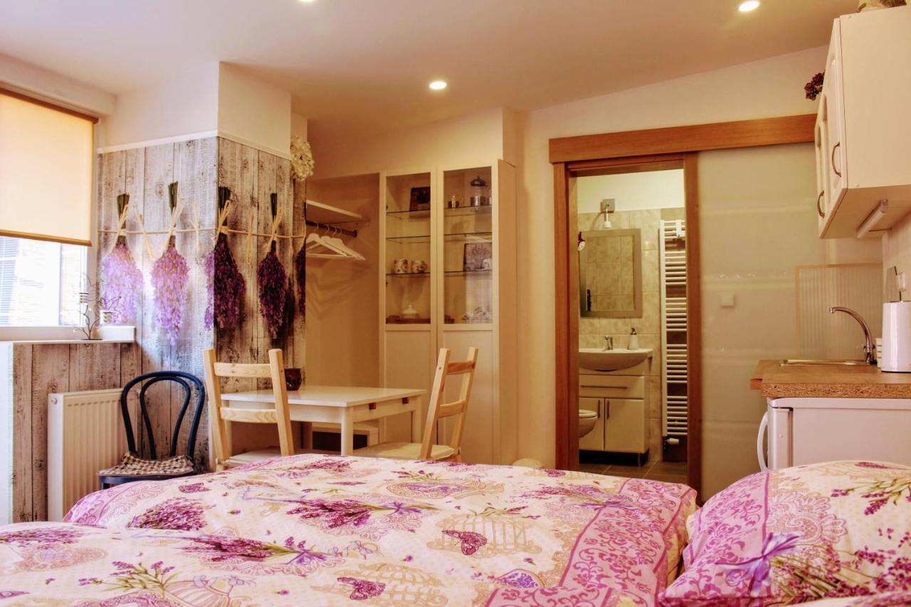 Apartman Za Kopcem Boskovice Exterior photo